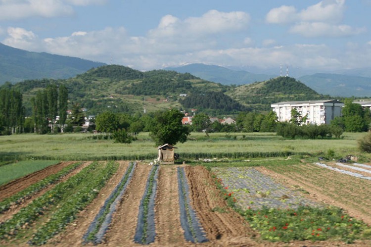 macedonia